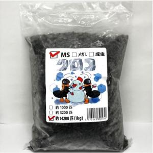 冷凍クロコL 約1000匹1kg 冷凍コオロギ 冷凍クロコL約1000匹1kg冷凍コオロギ 生体に栄養価の高い冷凍